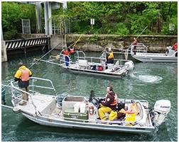 electrofishing